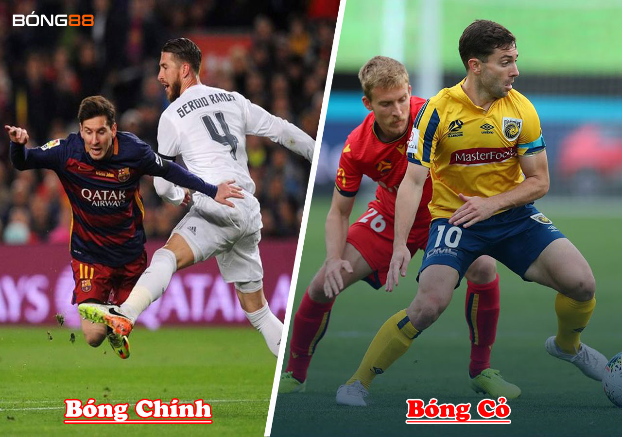 Có nên chơi bóng cỏ và bóng chính cùng lúc? Có nên chơi bóng cỏ và bóng chính cùng lúc?