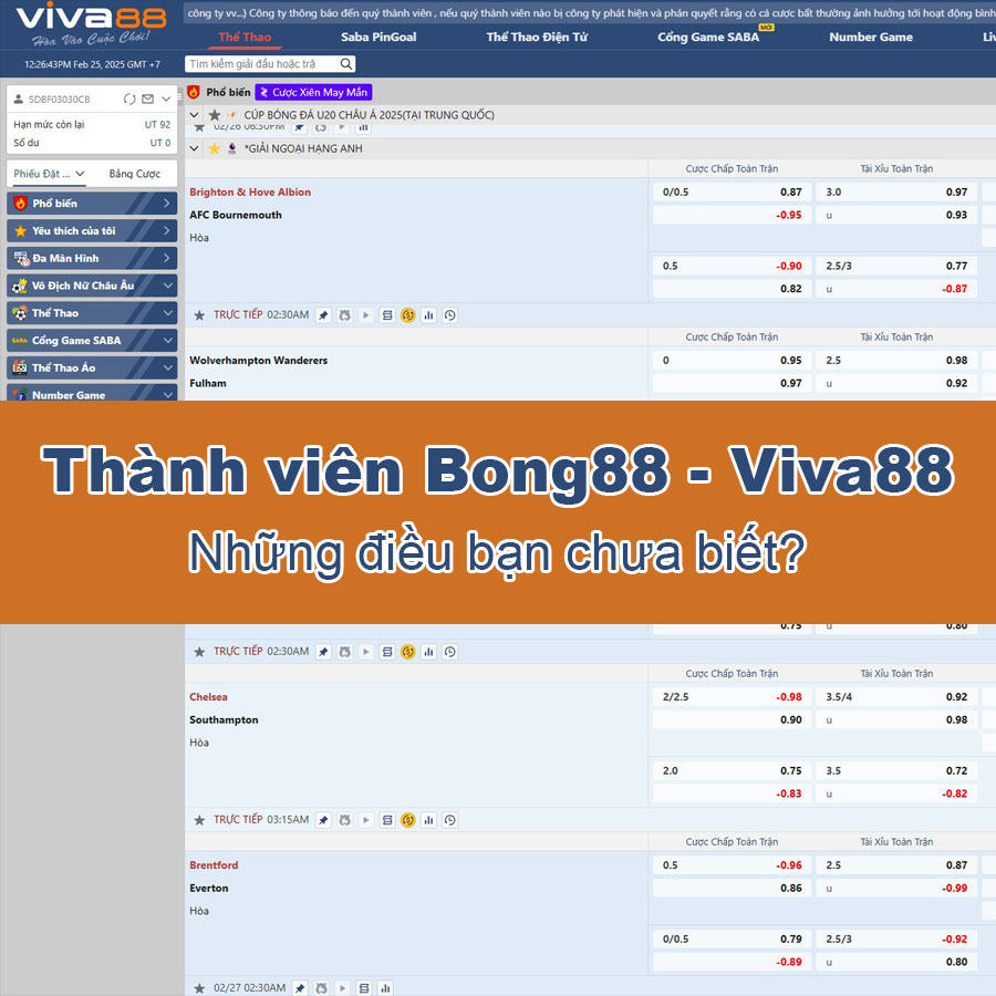 Thành viên Bong88 – Những điều có thể bạn chưa biết?